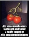 Ate mushrooms.jpg
