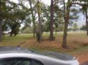 100_1024.JPG
