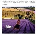 xx3.JPG