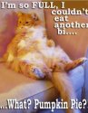 Im so full.jpg