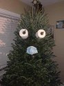 Decorated my tree.jpg