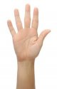 hand.jpg