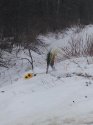 20130110_152727.jpg
