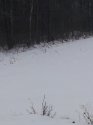 20130110_153342.jpg
