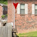 115cam1.jpg