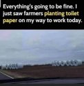 Everything.jpg