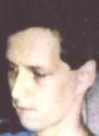 bruce_max_willow_2.jpg