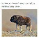 Aww..jpg