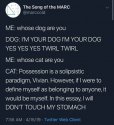 True about cats.jpg