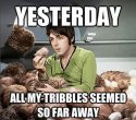 All my tribbles.jpg