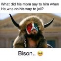 What did.jpg