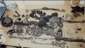 disarticulated Skeleton.jpg