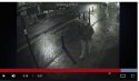 PR cctv.jpg