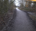trail 2.PNG