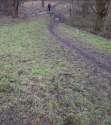 path 6.PNG