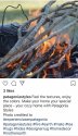 fire1.jpg