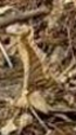 JD_Case_Braided_Item_Close_Up.png
