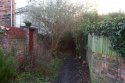 behind claudias alley.jpg