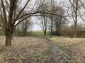 IMG_4875-min.jpeg