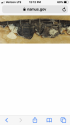 B1533573-0BA8-43D3-99CF-9355D1A285C7.png