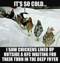 Its so cold.jpg