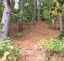 6F44C1D3-83FD-40BE-83A5-47070F3D48AD.jpeg