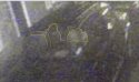 618AFD93-AE06-46DF-BA2D-A8173008E108.jpeg