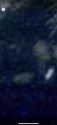 89ED9991-DC3B-4732-BFBE-63B93F893DCE.jpeg