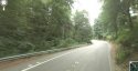 Dash Point RD.jpg