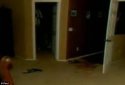 tbedroom.jpg