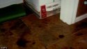tbaseboard.jpg