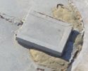 tank lid.JPG