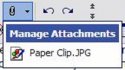 Manage Attachments.JPG