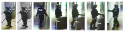 perp_images.png