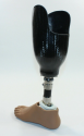 SP RIGHT LEG PROSTHESIS.png