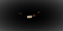 SWFA_plate2.png