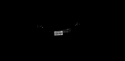 SWFA_plate4.png