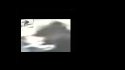 2021-04-05_19-20-48.jpg