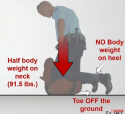 body.png