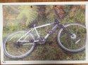 bicycle.jpg