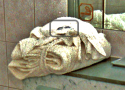 _bathroom-watch.png