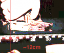 _gun-short.png