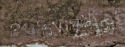 _gun-serial-1.png