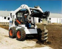 Bobcat 2.PNG