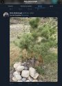 6E34E857-3737-4D52-984A-471B91B3C40C.jpeg