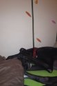 ImageUploadedByTapatalk1364329071.854669.jpg