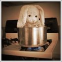 bunnyboil1.jpg