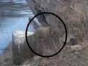 what is that lurking at 7 bridges a.JPG