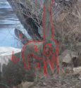 msjEdna.jpg
