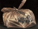 plastic bag.jpg